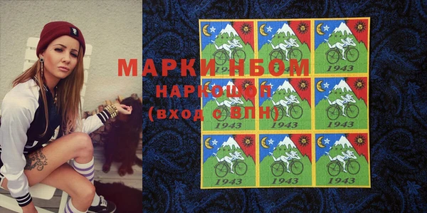 хмурый Алексин