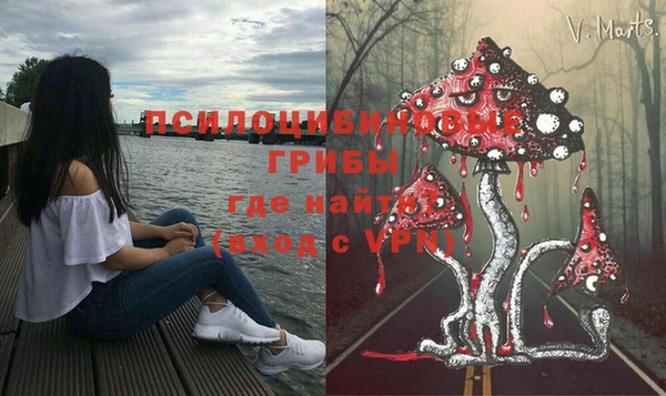 хмурый Алексин