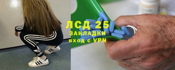 хмурый Алексин
