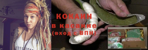 винт Дмитриев