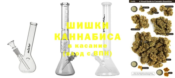 тгк Горно-Алтайск
