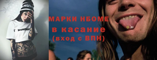 хмурый Алексин