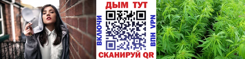 где продают   Лихославль  Конопля ГИДРОПОН 